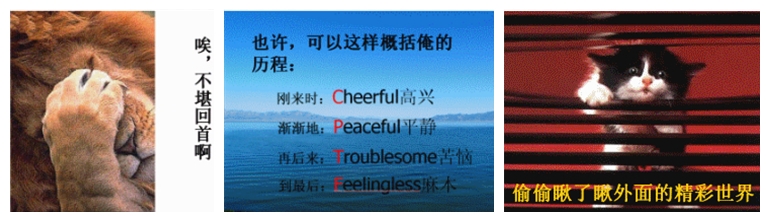 唉，不堪回首啊！偷偷瞅了瞅外面的精彩世界