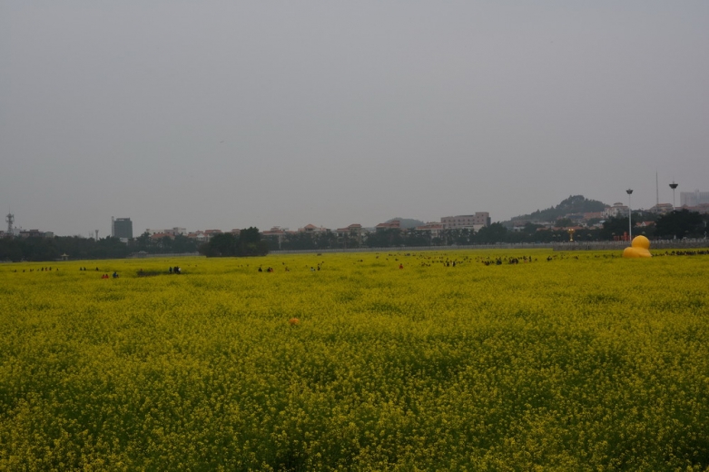 DSC_0102.JPG