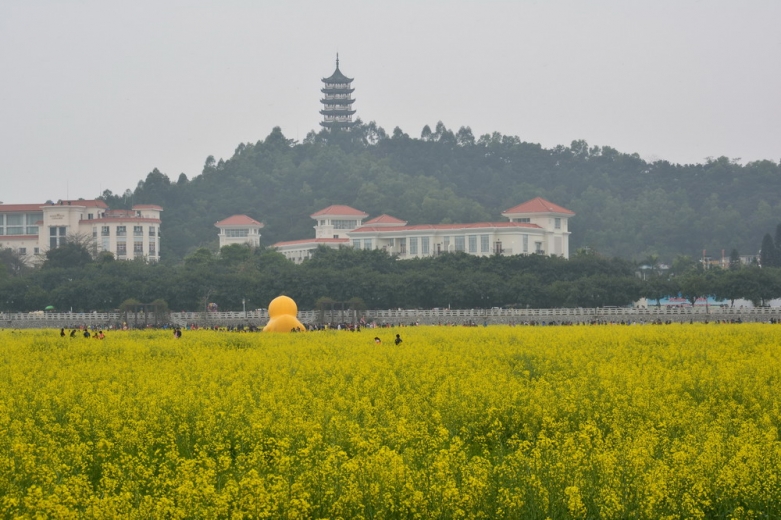 DSC_0122.JPG