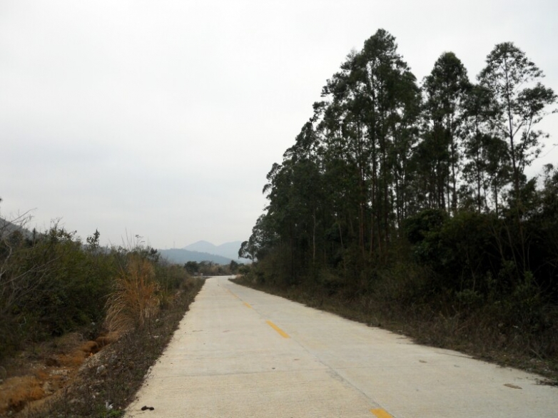 DSCN1369.jpg