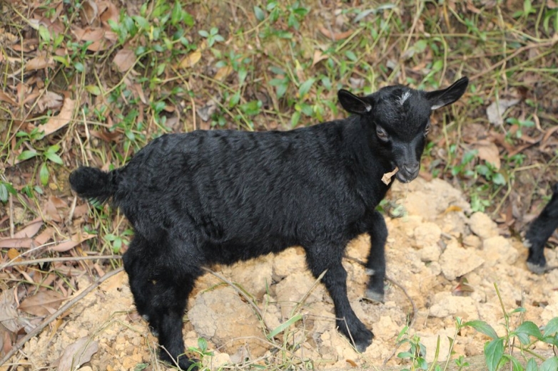 照什么照 没见过帅哥吗？