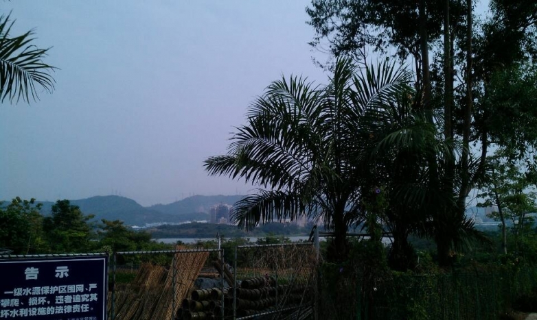 远处风景