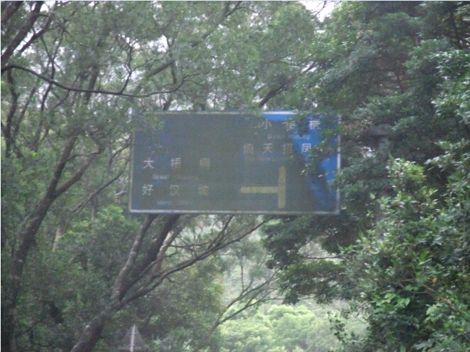 分叉点