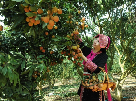 QQ截图20140523195759.jpg