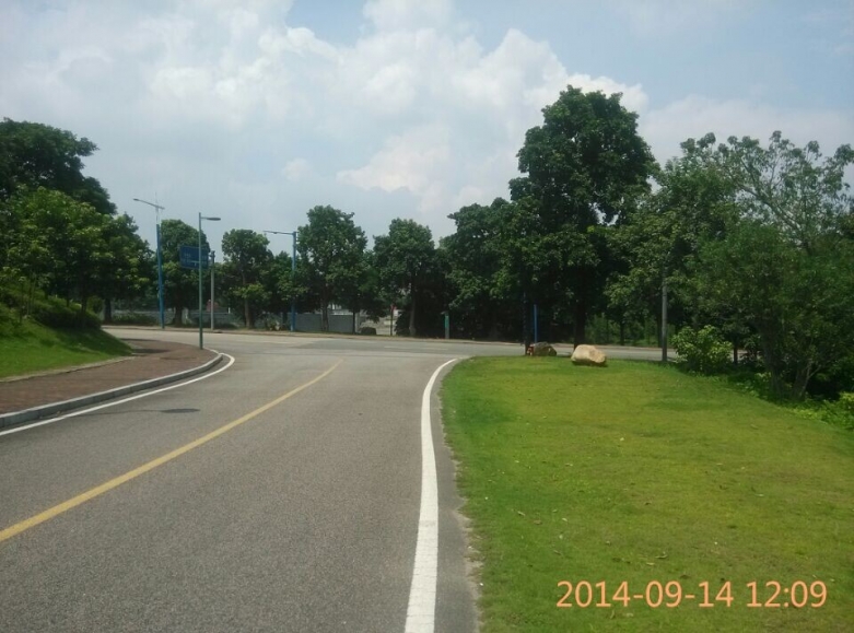 同沙