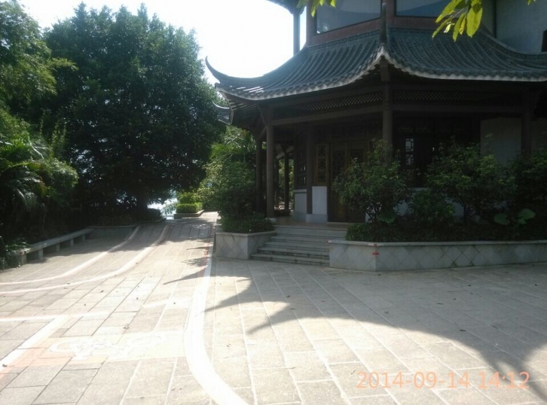 同沙