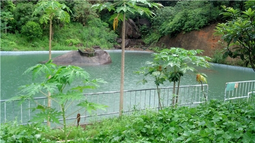 象头山0 (11).jpg