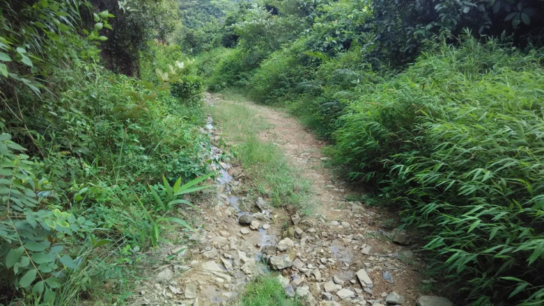 快到水库边了-小水坑比较多.jpg