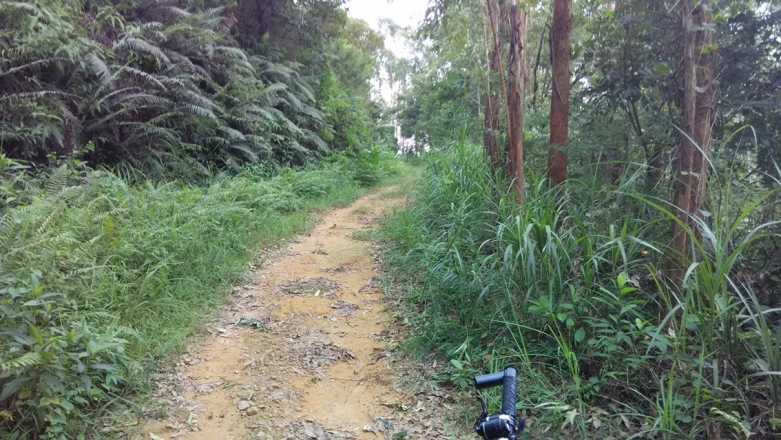 去电光村.jpg