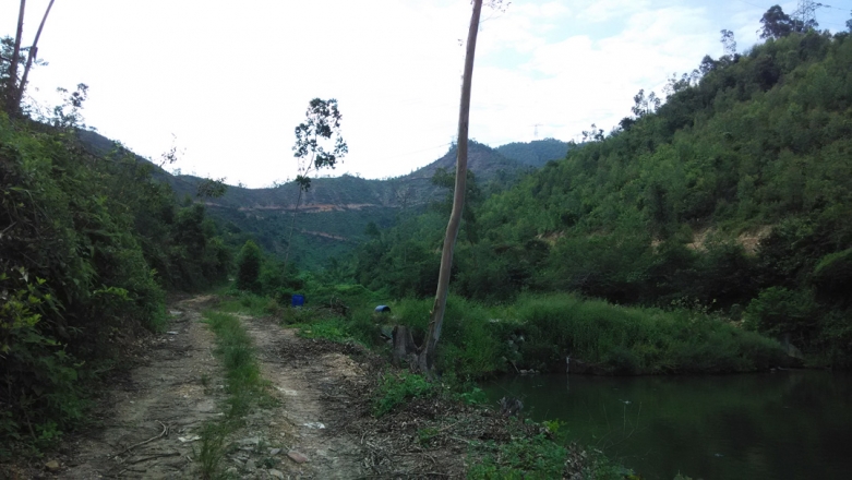 这个盘山路不错-可惜没时间了.jpg