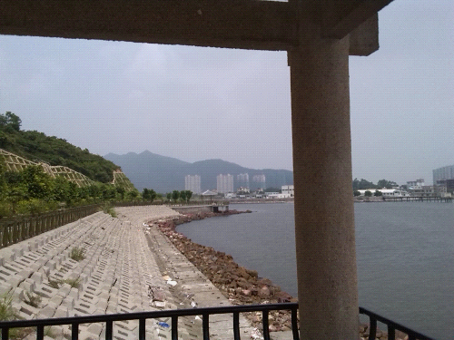 IMG_20140803_111956.jpg