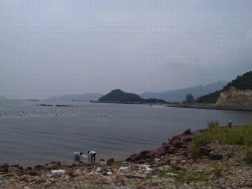 IMG_20140803_110806.jpg