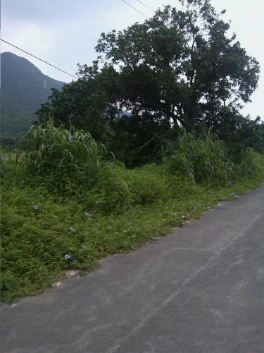 IMG_20140803_102302.jpg