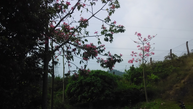 5-莲塘头水库-随拍.jpg