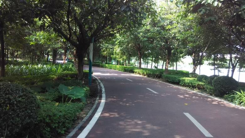 7-东莞生态园-大圳埔湿地公园.jpg