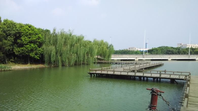 7-东莞生态园-大圳埔湿地公园-.jpg