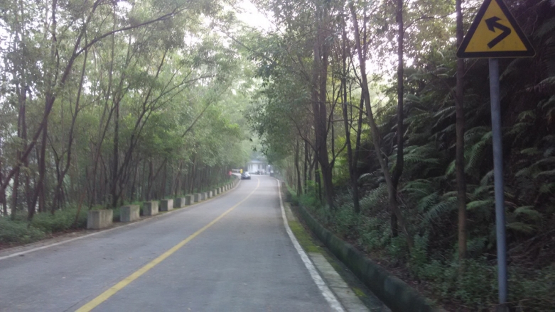 2-大屏障-晨雾.jpg