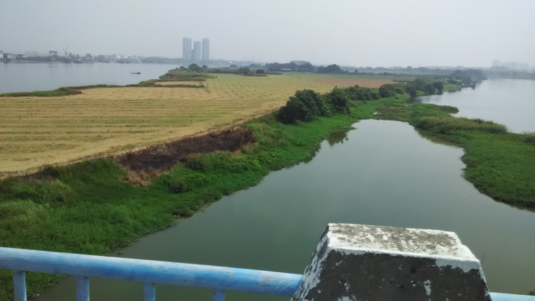 8-罗浮山大桥-鲤鱼洲岛.jpg