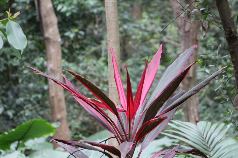 莲花山随拍