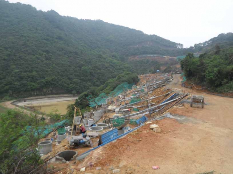 山窝的水库，去年经常上来游泳
