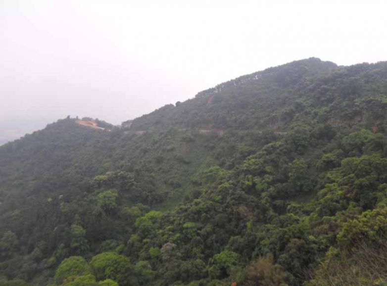 远眺长城