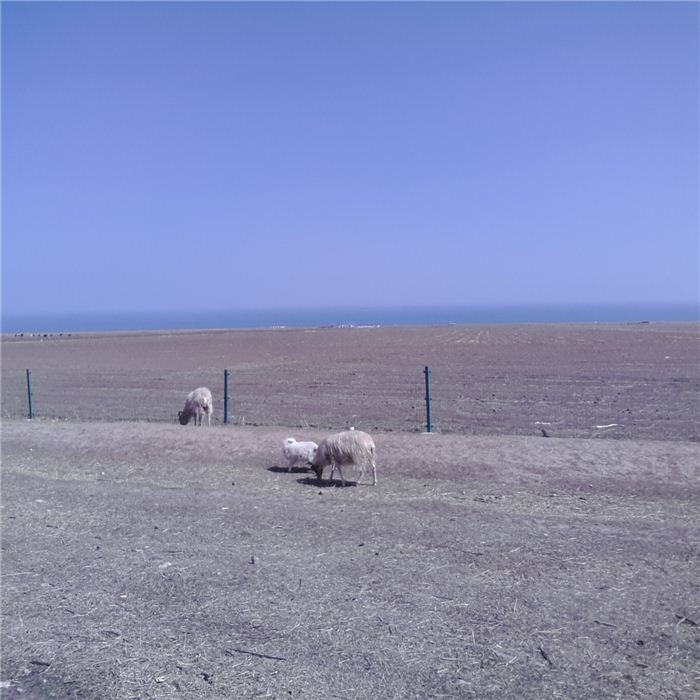 20140502_110040.jpg
