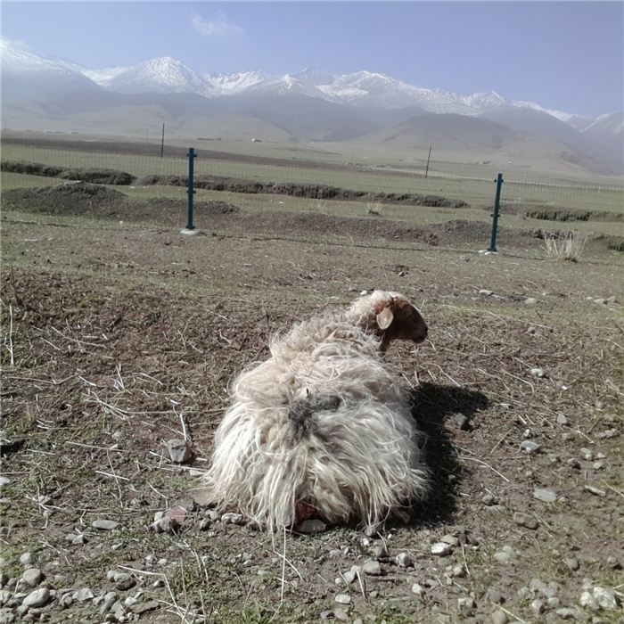 20140502_101819.jpg