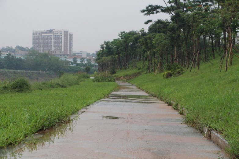 雨后河提
