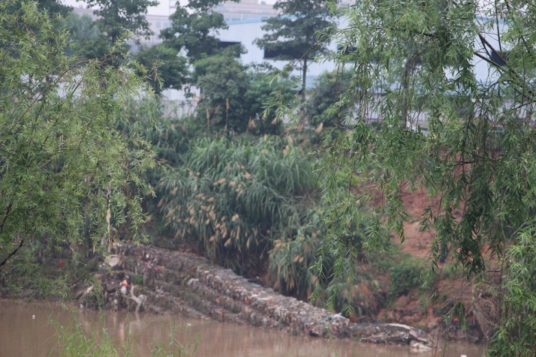 长期下雨河提受不鸟