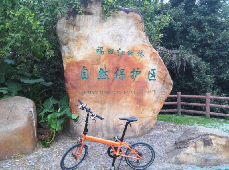 QQ图片20150525141749.jpg