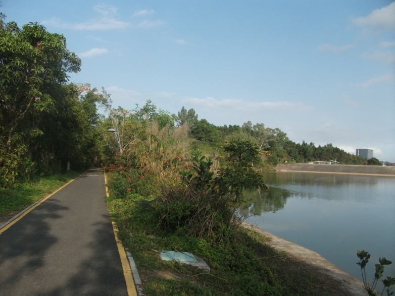 因为施工封闭的大运湿地绿道 016.jpg.thumb.jpg