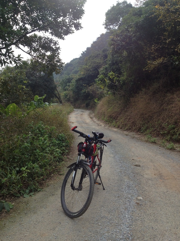 山腹中