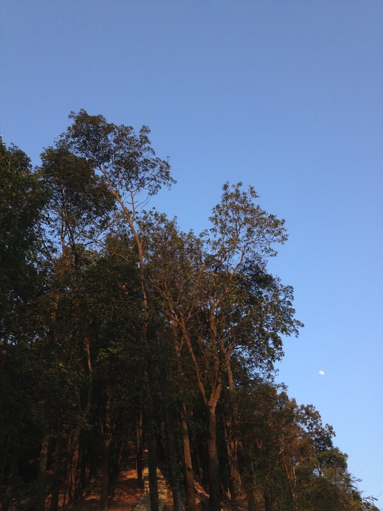 她的天空