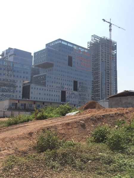 亲，接招啊（这广告语，有趣！）