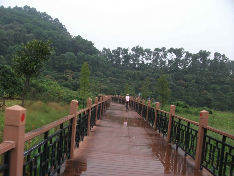 凤凰传奇与大岭山绿道 461.jpg