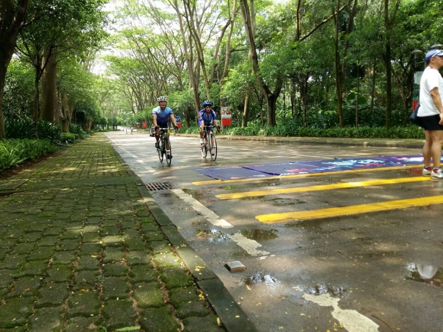 赛前熟路