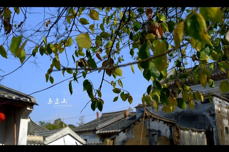 DSCF2635.JPG