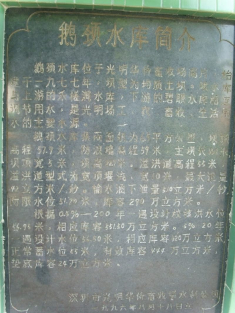 天鹅湖也叫鹅颈水库