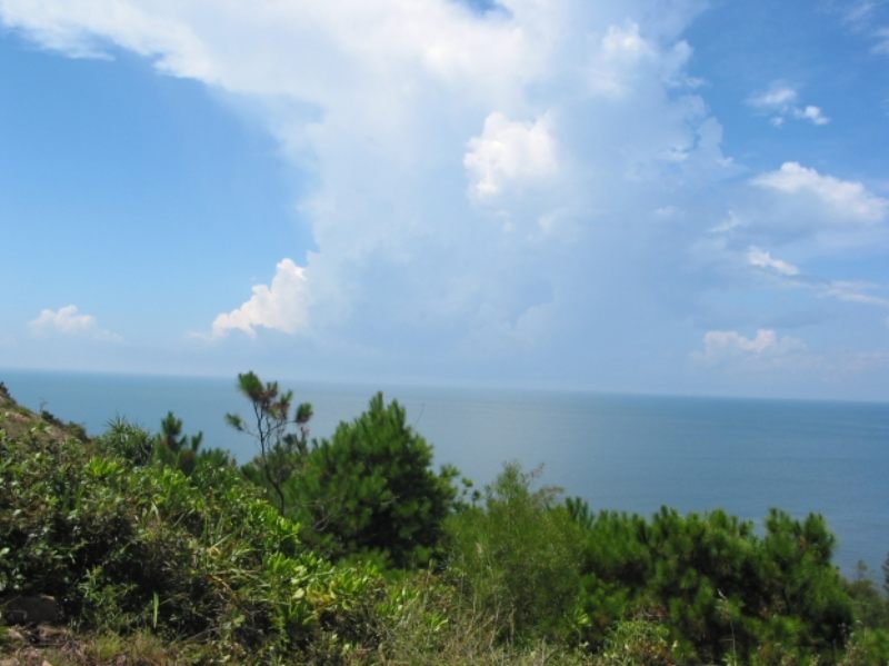 7-27惠东博罗 019.jpg