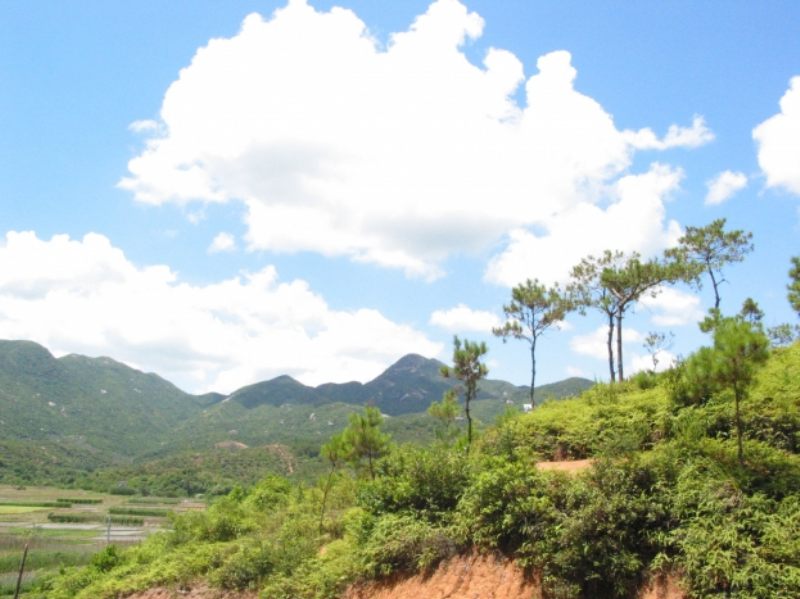 7-27惠东博罗 075.jpg