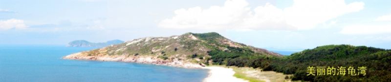 美丽的海龟湾.jpg