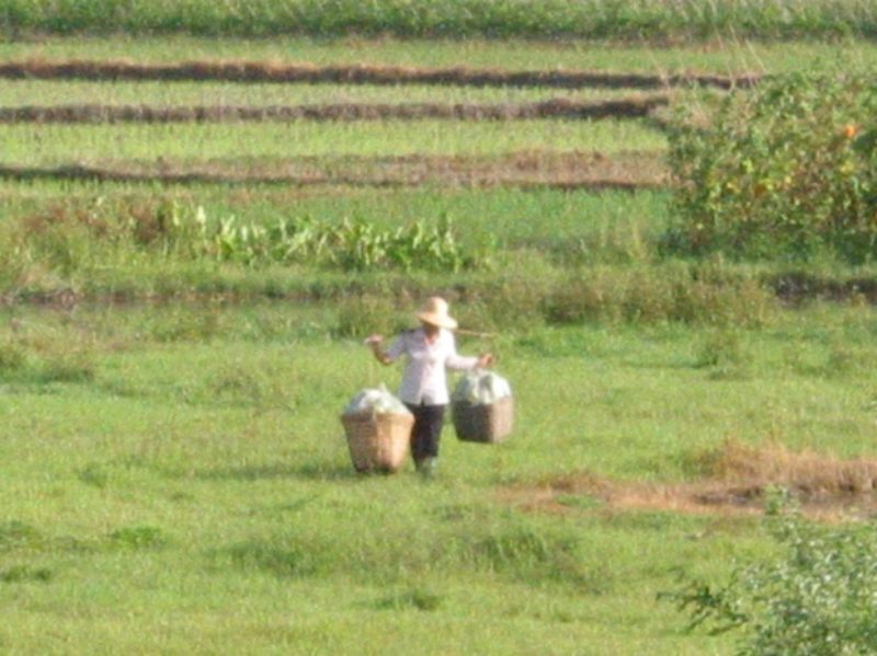 7-27惠东博罗 187.jpg