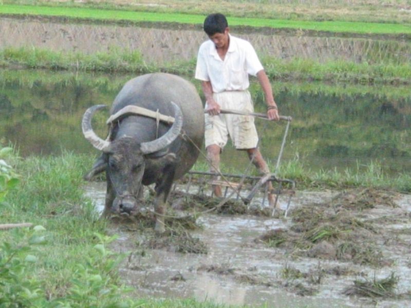 7-27惠东博罗 195.jpg