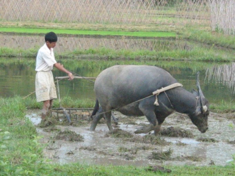 7-27惠东博罗 194.jpg