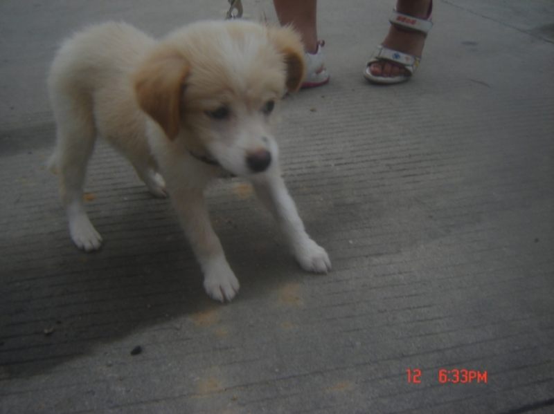 DSC05118.JPG