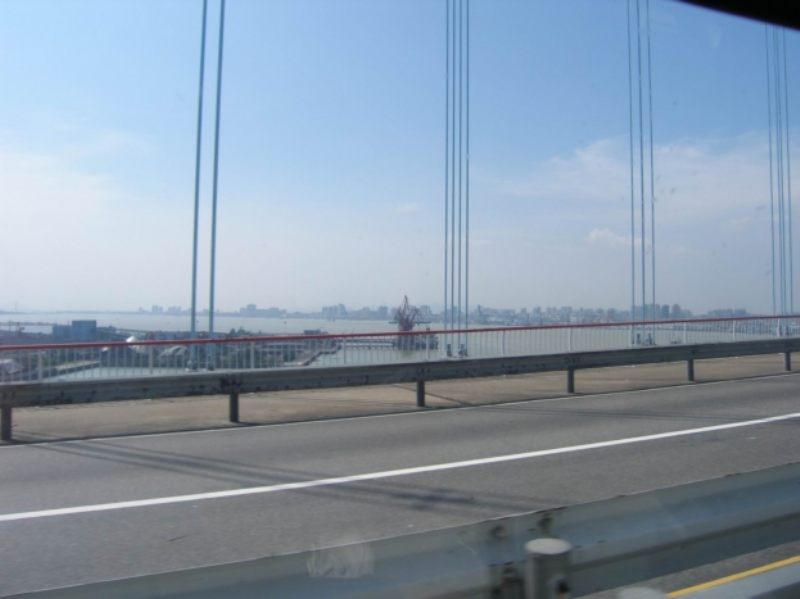 P8264150 (3).JPG
