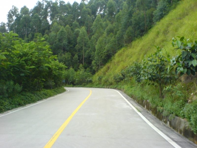 DSC00012.JPG