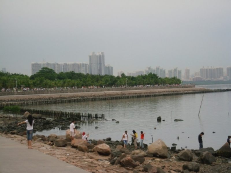 IMG_8076.JPG