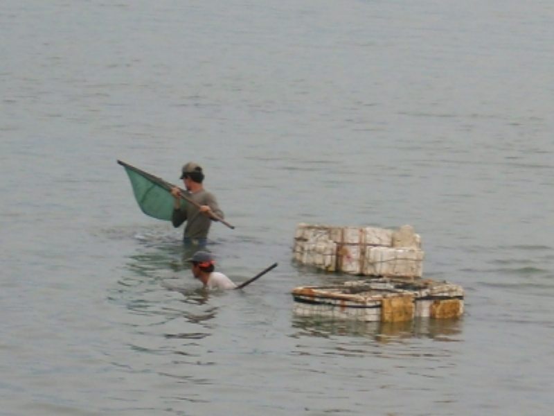 IMG_8073.JPG