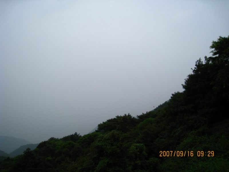 IMG_0028.JPG